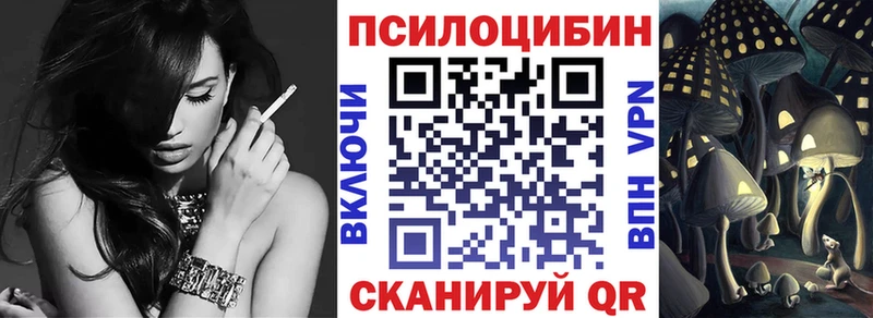 Галлюциногенные грибы MAGIC MUSHROOMS  где продают наркотики  Дзержинск 